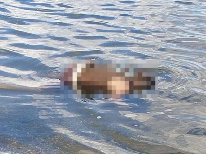 PC investiga morte de jovem encontrado com marcas de tiros no Vergel do Lago