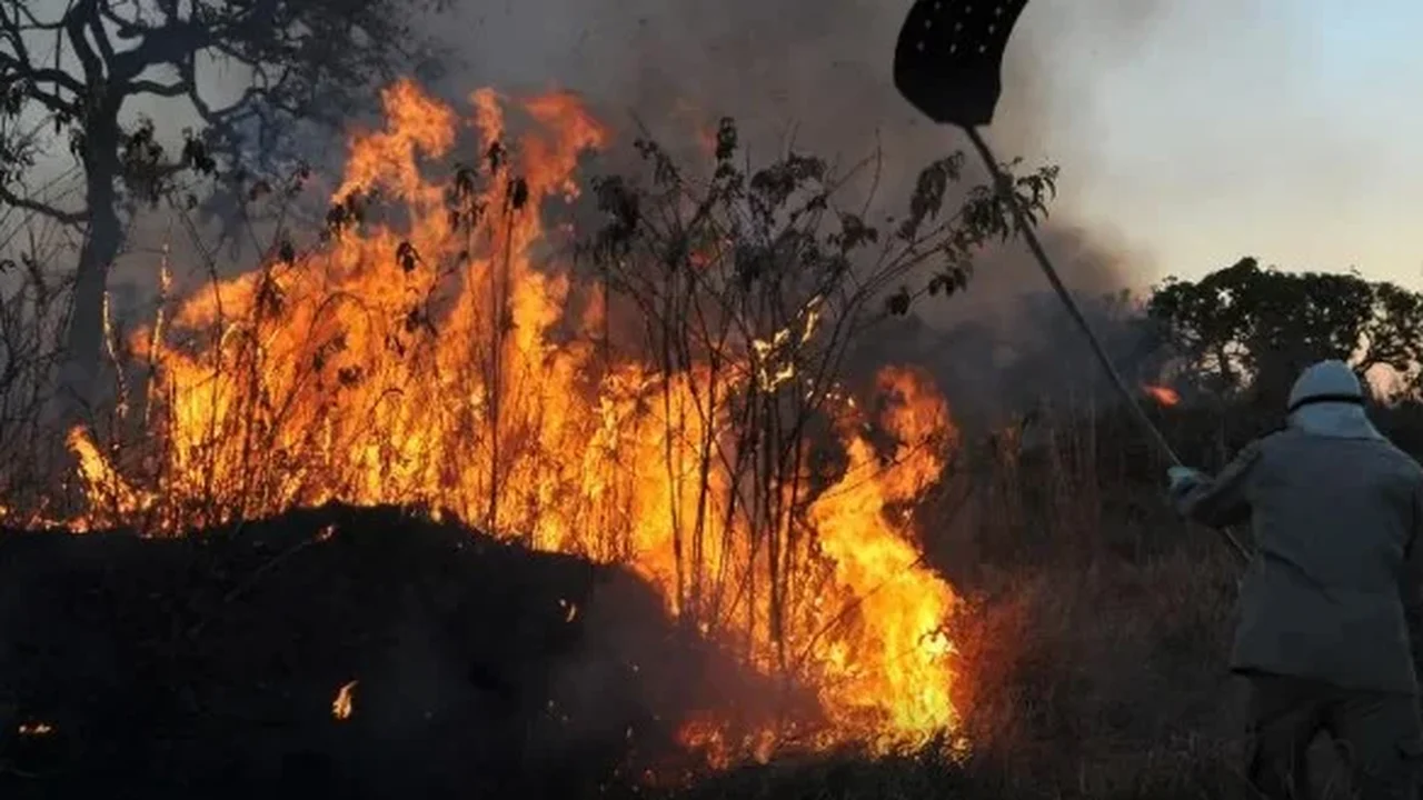 Nova York recebe fumaça de incêndios florestais no Canadá às vésperas da final do Mundial