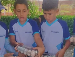 WhatsApp Image 2026-03-30 at 08.31.24.jpeg 