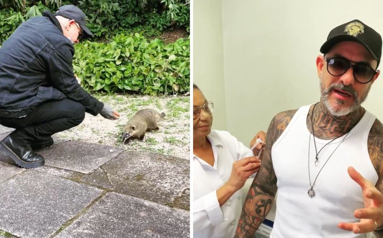 Chef Henrique Fogaça é mordido por quati e vai parar em hospital