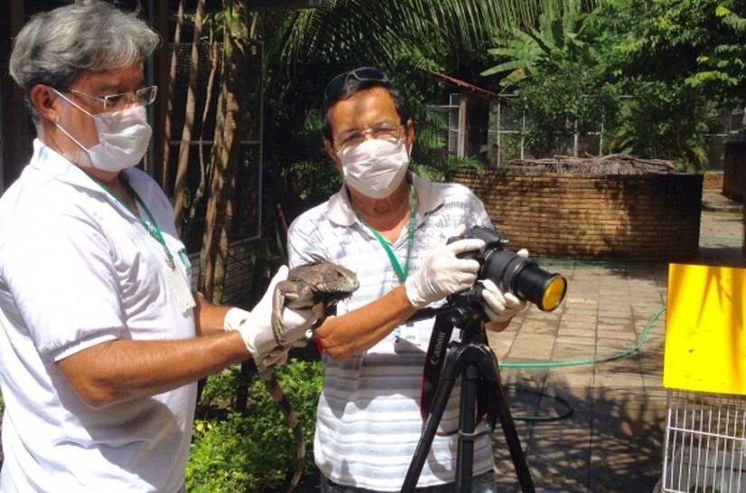 IMA elabora lista com principais espécies da fauna alagoana