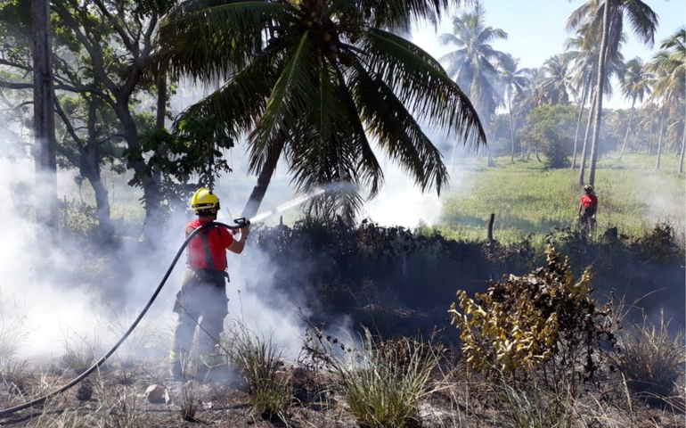 Bombeiros orientam brigadistas após incêndio em vegetação no Pilar