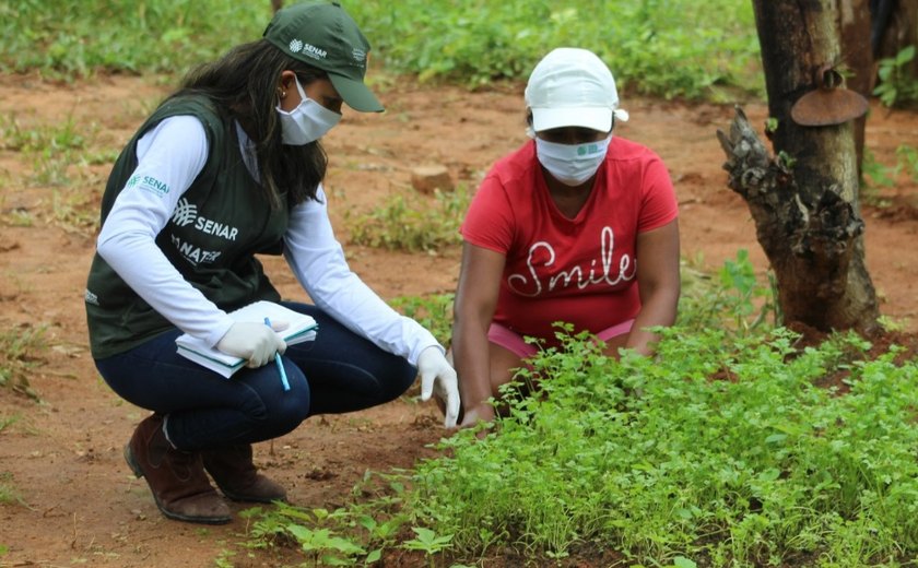 Senar Alagoas atende 300 produtores na primeira fase do Programa Agronordeste