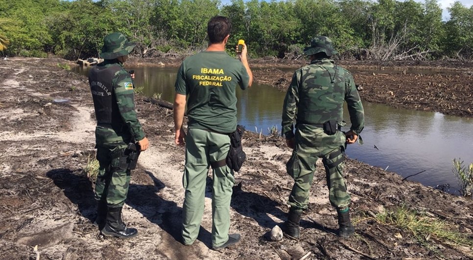 Fiscalização Pelotão Ambiental e Ibama / Foto: Pelotão Ambiental