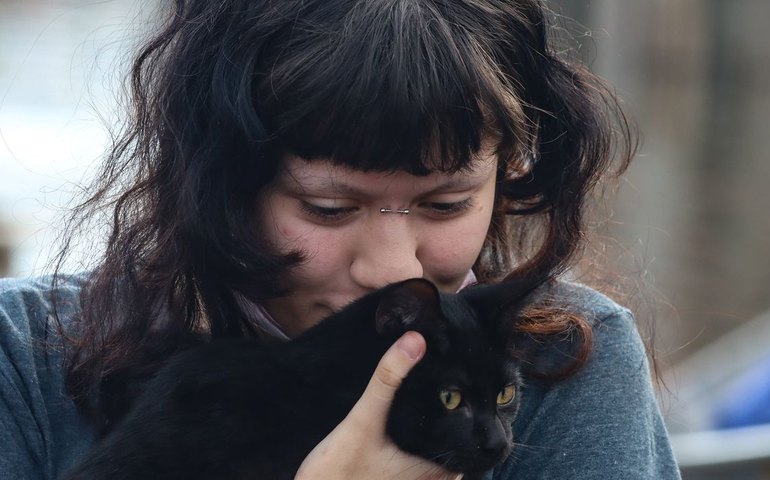 Animais resgatados: governo gaúcho vai investir mais de R$ 7 milhões