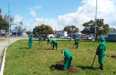 Praça da Faculdade ganhará mais de 200 mudas no Bairro Verde