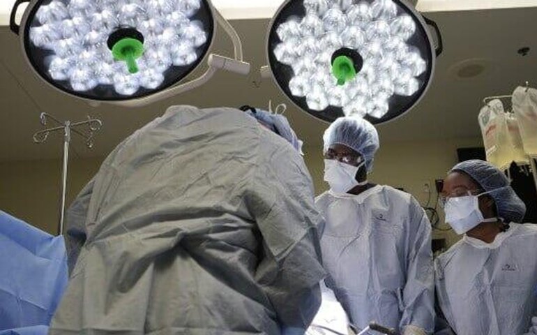 China realiza 1º transplante de fígado e rins de porco para humano