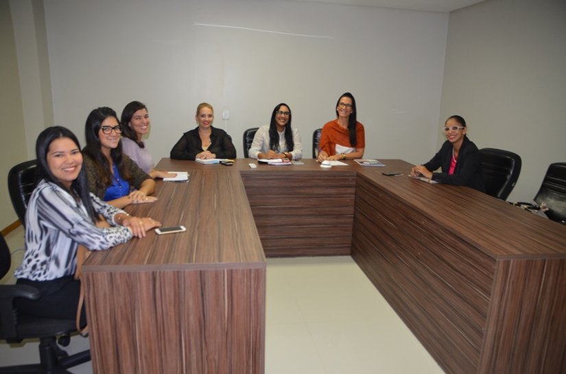 Comissão da Mulher Advogada se reúne para definir Conferência Estadual 2016