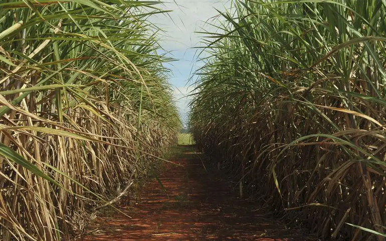 Simpósio da Cana de Alagoas traz palestras técnicas voltadas a área industrial