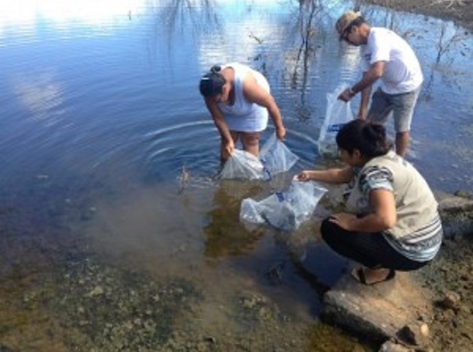 Projeto “Peixe Vivo” em Delmiro Gouveia: Parceria que deu certo!