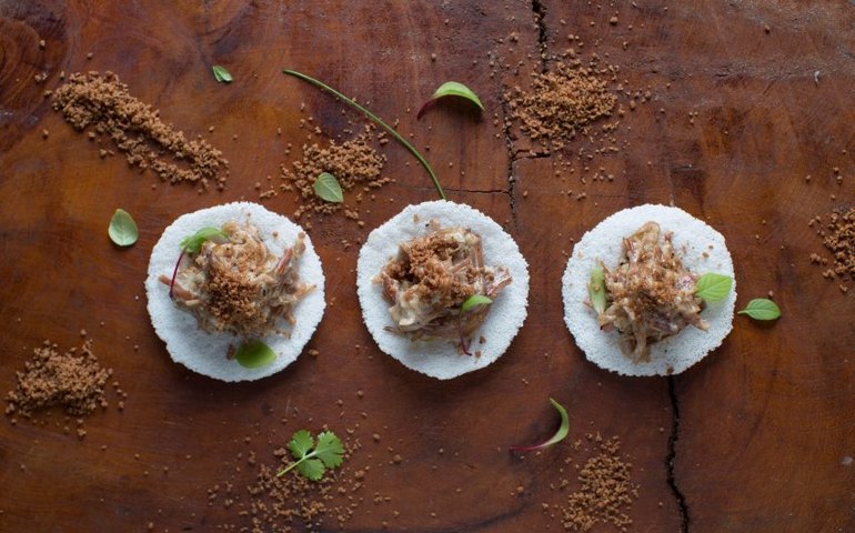 Prefeitura lança pesquisa online para conhecer pratos da gastronomia criativa de Maceió