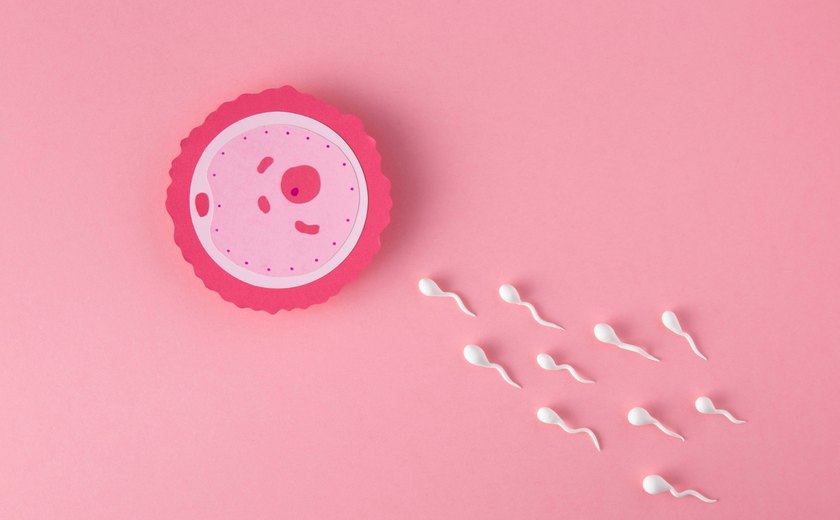 Saiba quais fatores afetam a capacidade de engravidar e quando buscar ajuda