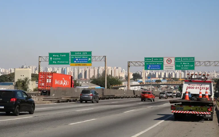 Litoral norte de SP tem 43 pinguins mortos em 3 dias