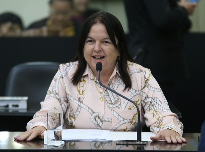 Deputados aprovam, em 1º turno, lei que institui o Dia Estadual da Pessoa Desaparecida