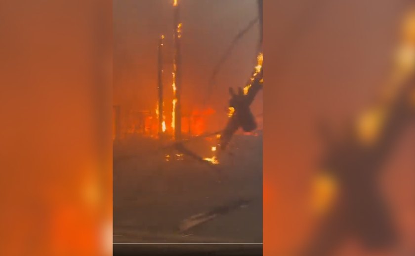 Inferno no Havaí: vídeo mostra moradores em meio a fogo e corpos durante fuga de incêndio; assista 