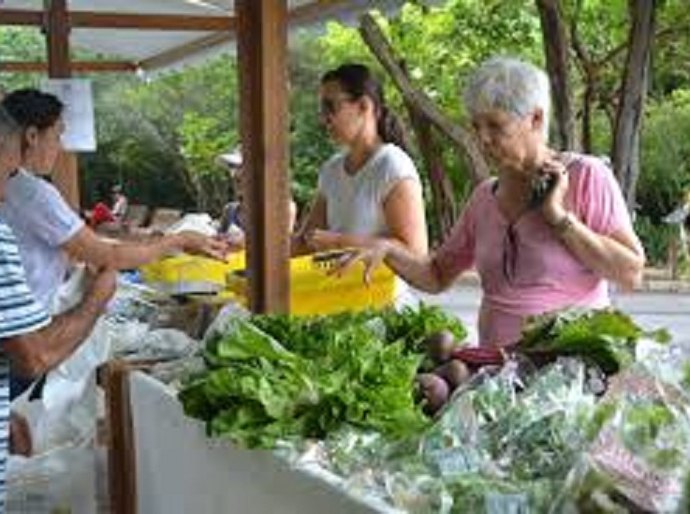 Feira Orgânica na Semarh acontece nesta terça-feira (06)
