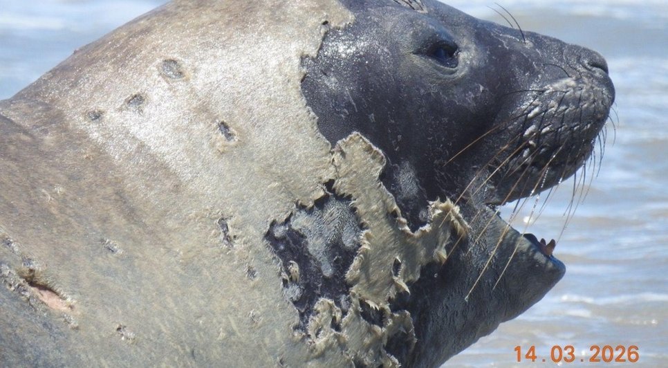 WhatsApp-Image-2026-03-18-at-10.01.45