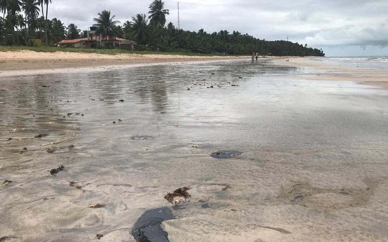 Equipe do IMA organiza mutirões de limpeza das praias atingidas por óleo