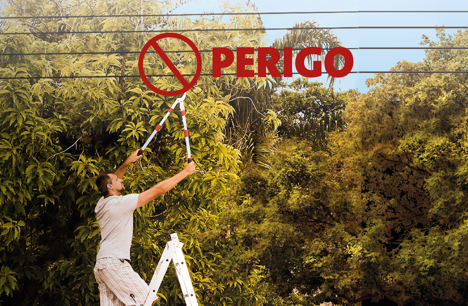 ÁRVORE PERIGO ENERGISA
