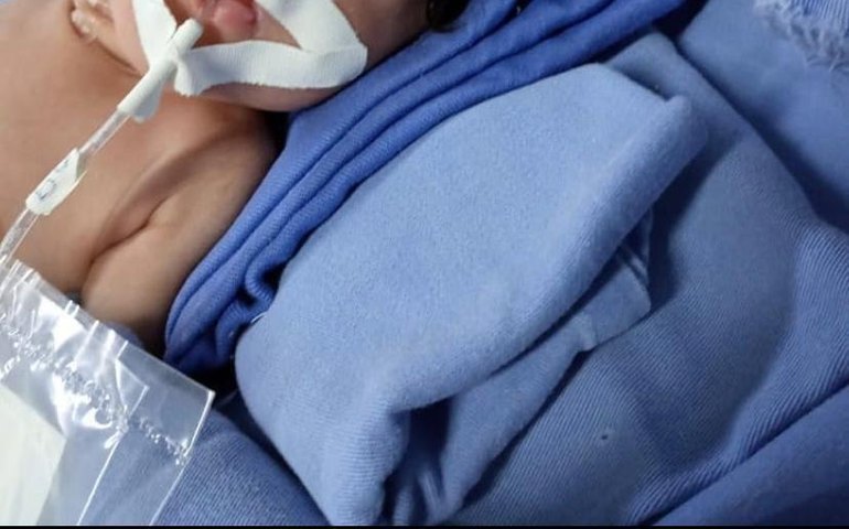 Pais de bebê transferido para Maceió agradece trabalho da UTI Neo do Hospital Regional