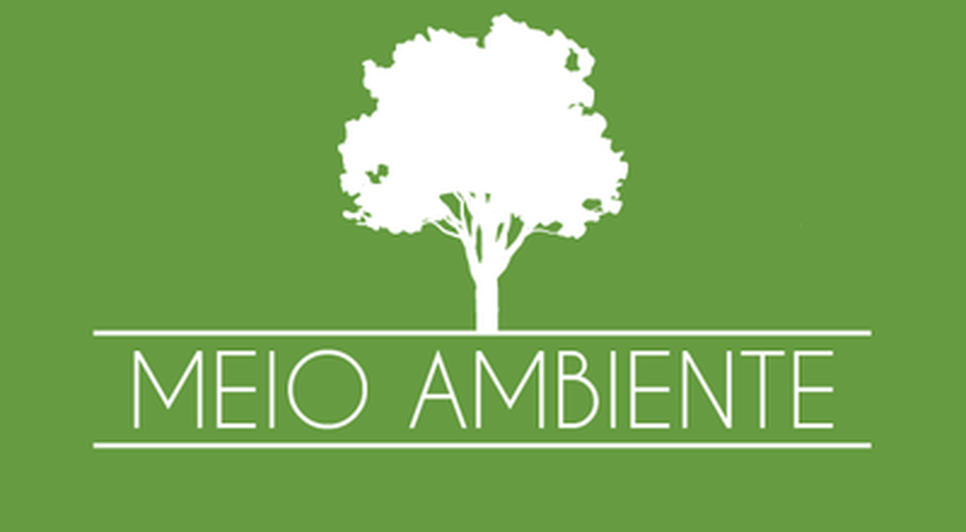 Meio ambiente