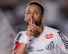 Neymar comemora seu gol pelo Santos - Foto: Raul Baretta/Santos