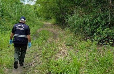 Covid-19: servidores da Perícia Oficial do Estado com  60 anos ou mais deverão fazer teletrabalho