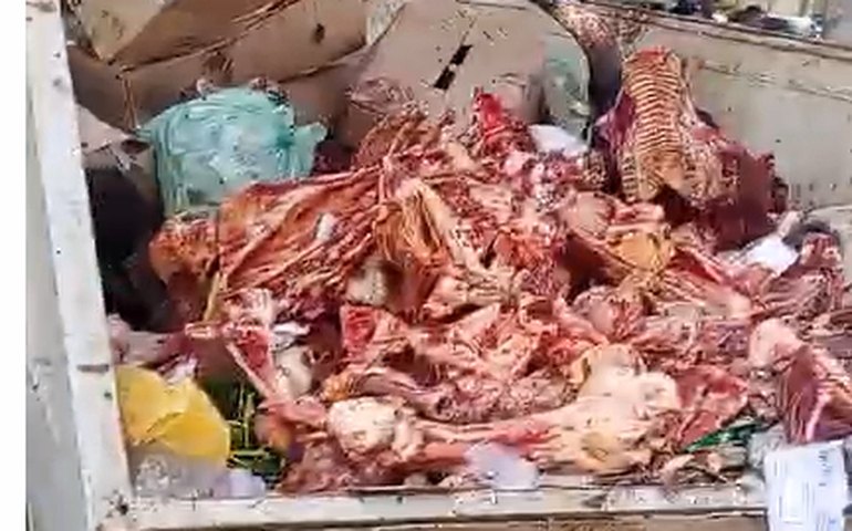 Condições precárias  e de imundície no Mercado Público de Palmeira geram alerta de Saúde Pública