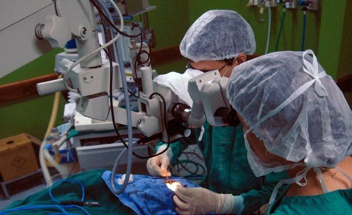 Operação de transplante de órgão Operação de transplante de órgão
