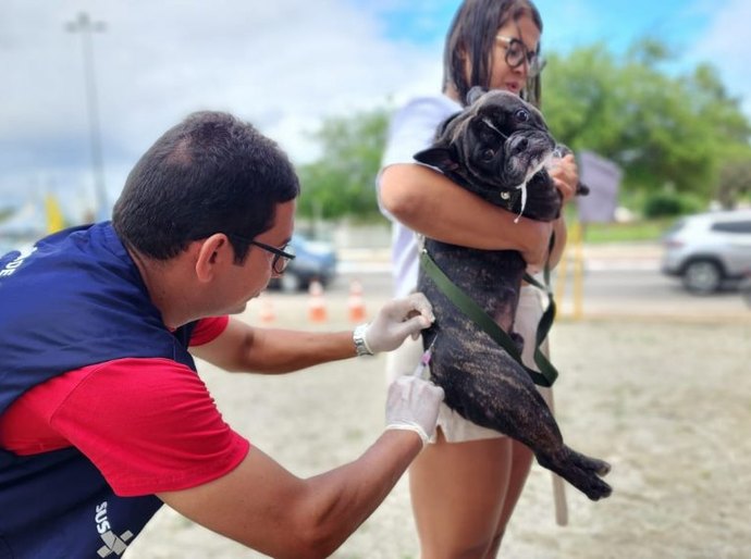 Com cobertura ampliada, Prefeitura de Arapiraca realiza mutirão de vacinação antirrábica neste sábado (27)