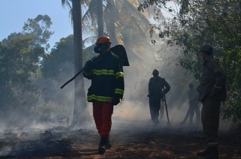 Corpo de Bombeiros registra catorze incêndios durante feriadão