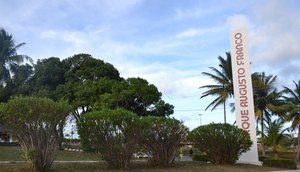 SEMENTEIRA / Foto: a8se
