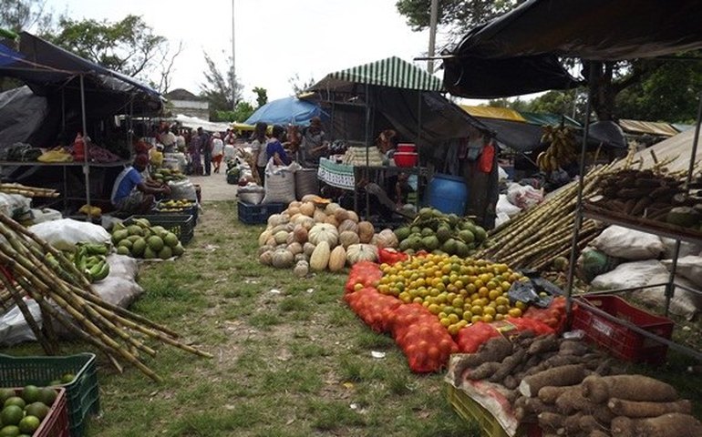 Feira Camponesa deve comercializar 200 toneladas de alimentos até sábado