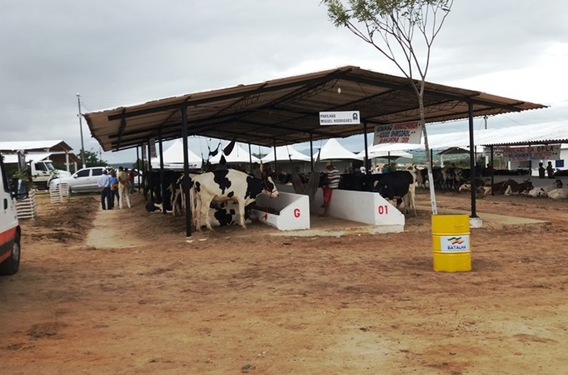 Expo Bacia Leiteira é aberta em Batalha. Evento prossegue até sexta-feira, 30