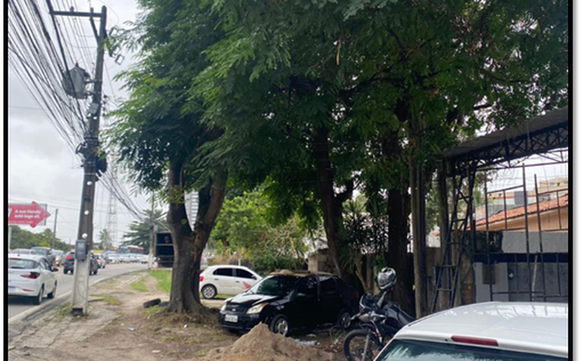 Aldo Loureiro solicita poda de árvores na Avenida Menino Marcelo e no Clima Bom