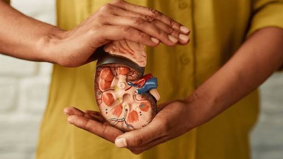 Cuidados com os rins: como identificar sinais de alerta e prevenir complicações renais