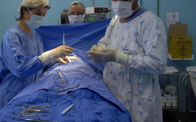 🫁 Pulmão de porco transplantado para humano permanece funcional por 9 dias