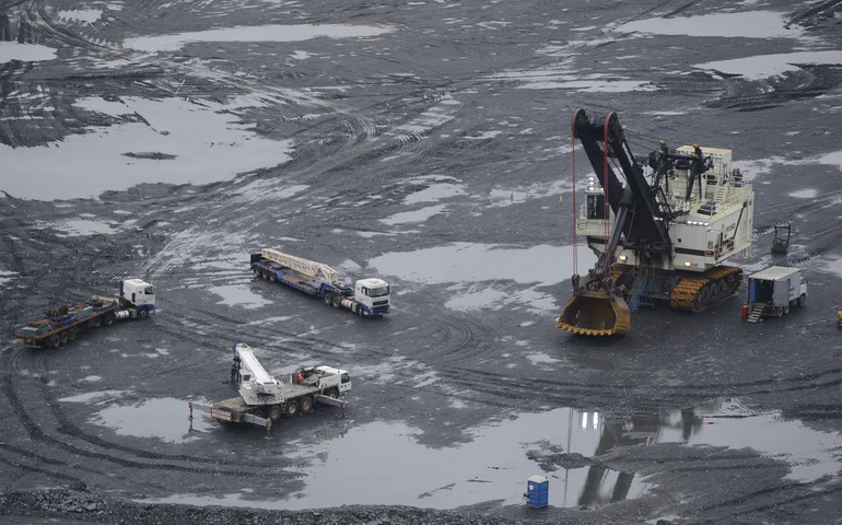 Achado de ouro: toupeira dourada é encontrada pela primeira vez em quase 90 anos 