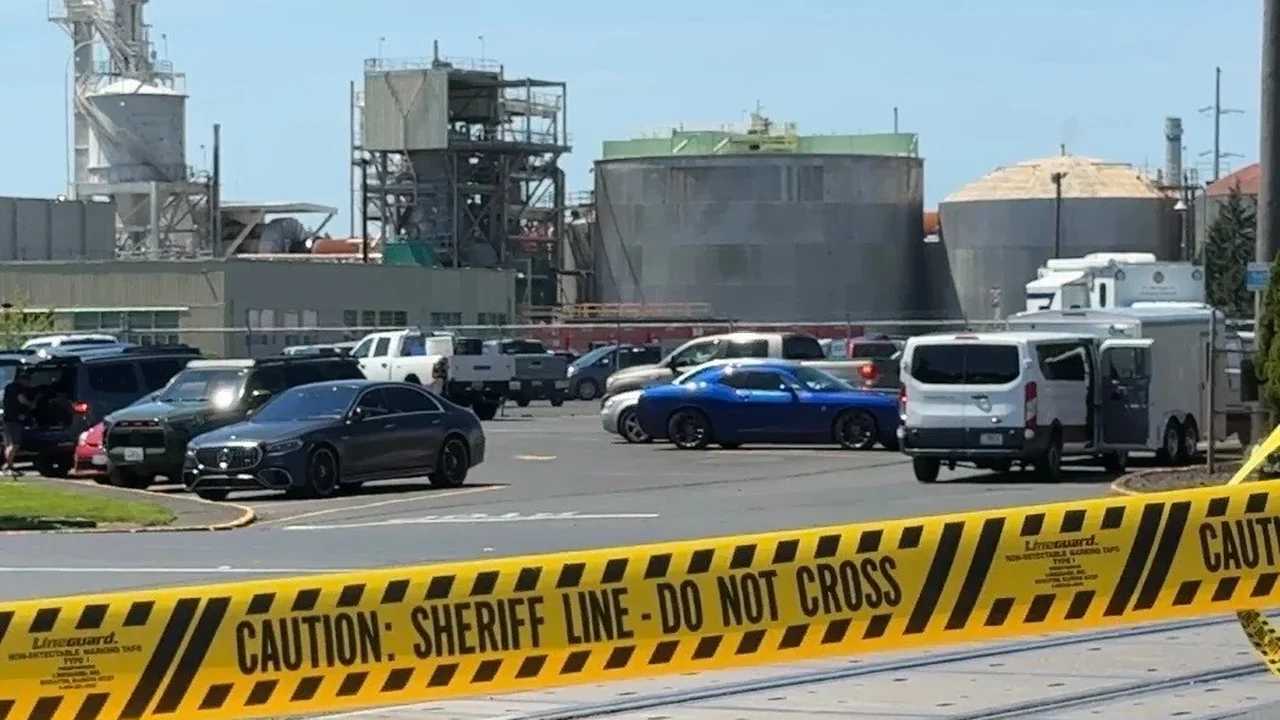 Registros revelam queixas de segurança e manutenção precária no local do desastre fatal em uma fábrica de celulose em Washington.
