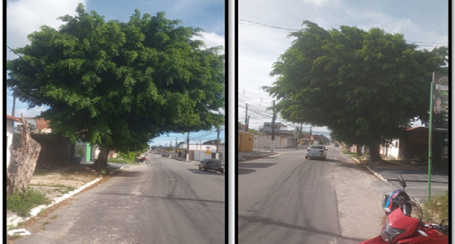 Em indicações, Aldo Loureiro pede corte de árvore e limpeza de galeria em bairros de Maceió