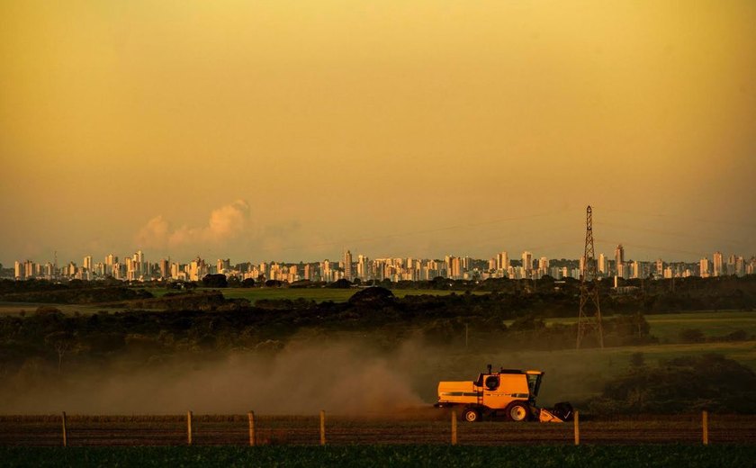 Exportações do agronegócio batem recorde em outubro