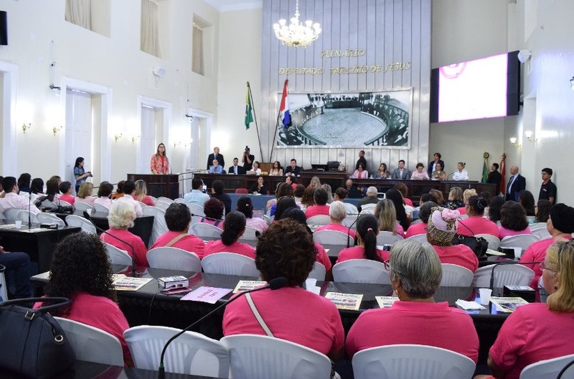 Prevenção e tratamento do câncer de mama são debatidos em audiência na ALE