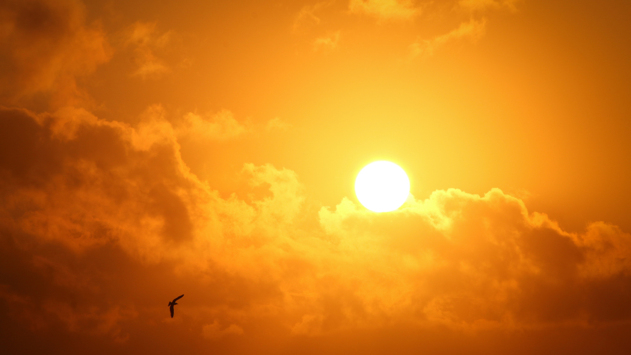Calor e suor: conheça truques simples para fazer a maquiagem durar mais no verão