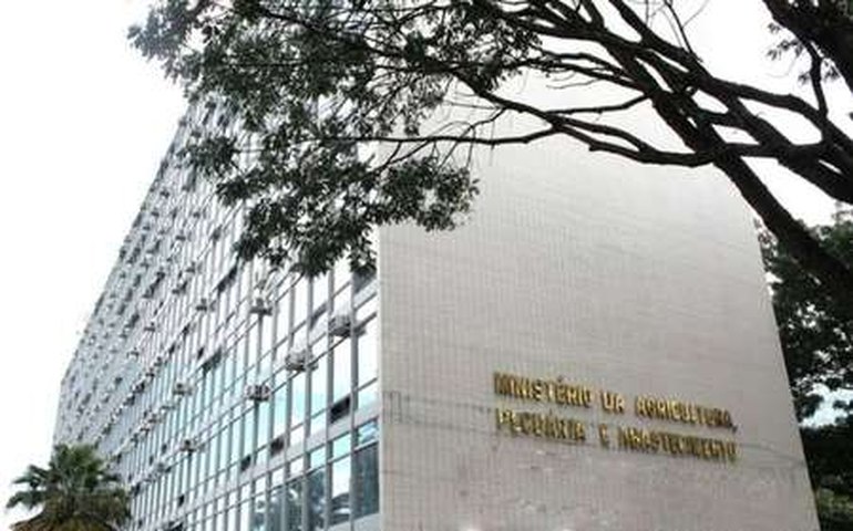 Conselho recomenda qualificação de terminais pesqueiros no PPI