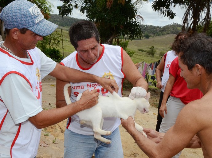 Antirrábica: Dia D acontece sábado em Marechal; confira os locais de vacinação