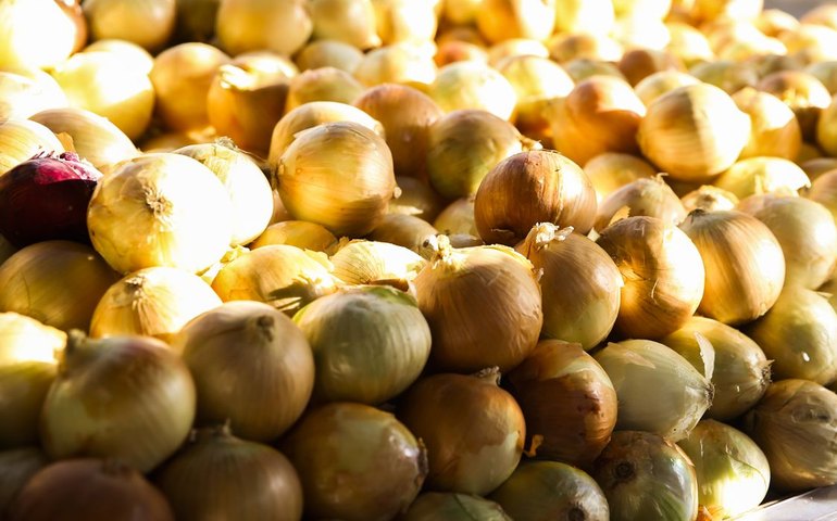 Conab: preço das hortaliças cai nos principais mercados atacadistas