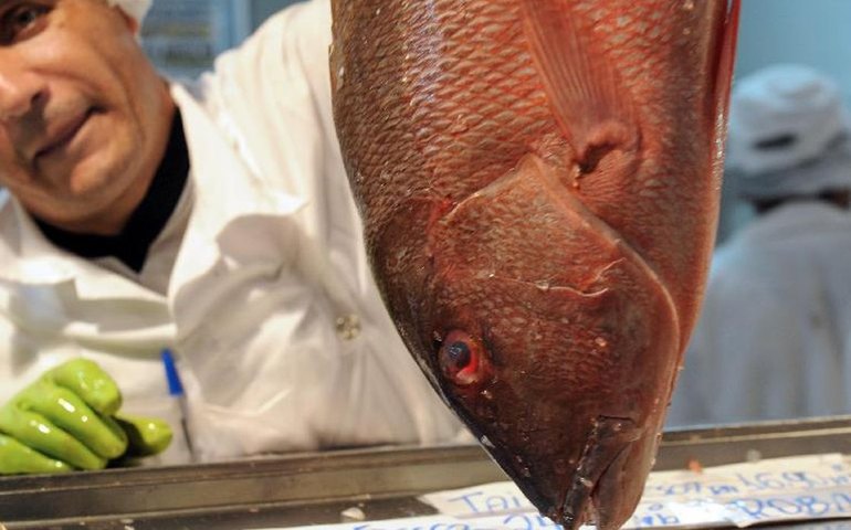 Começa a Semana do Pescado com descontos em mercados, bares e restaurantes