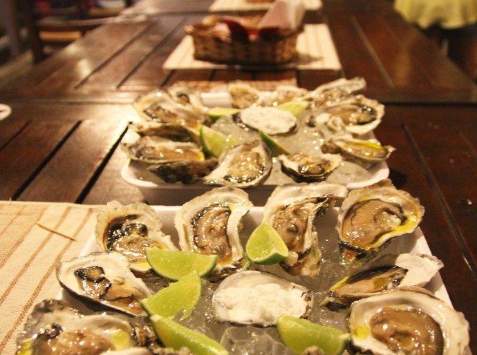 Depuração de ostras garante qualidade do produto e desenvolvimento socioeconômico