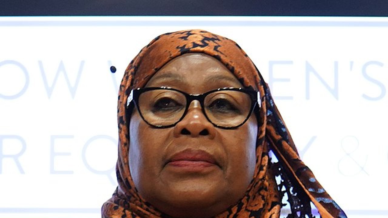 Artista tanzaniano que queimou a foto da presidente em vídeo no TikTok é preso; entenda