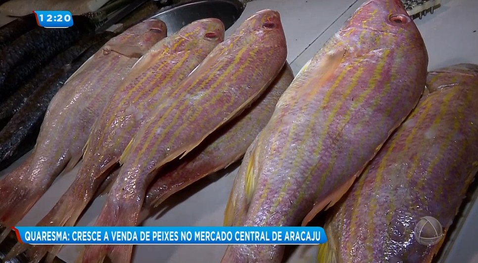 Peixe Quaresma